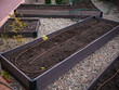 Plastic rectangular bed of vegetables with irrigation