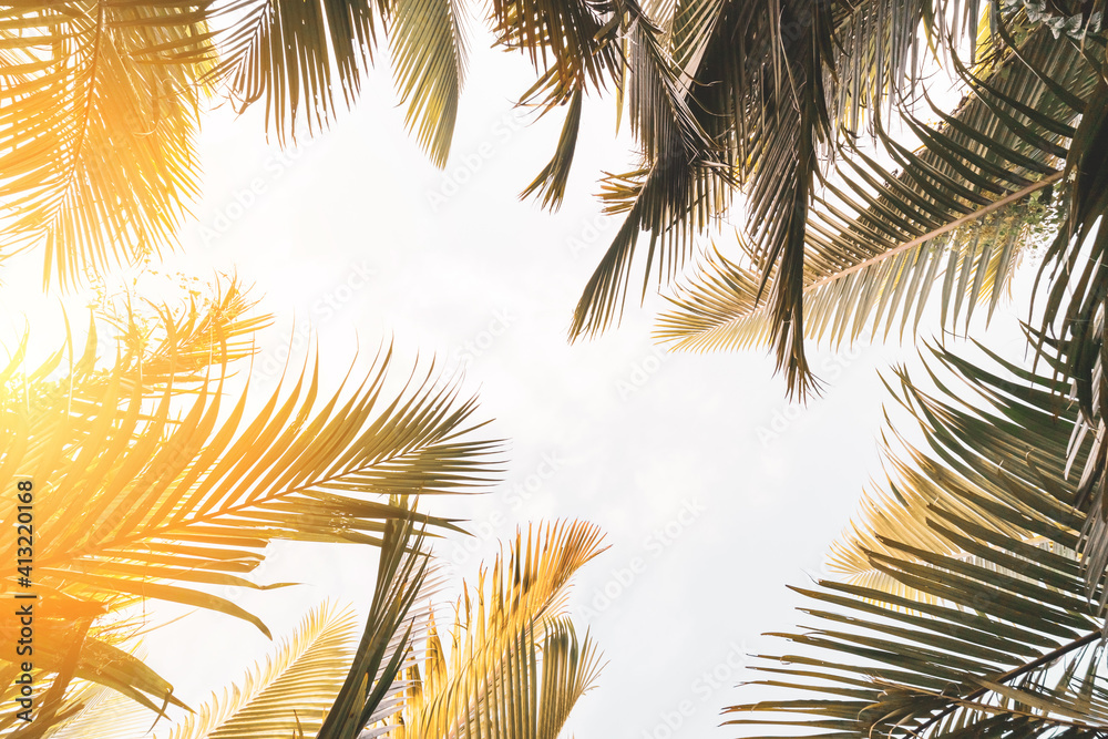 Copy space of tropical palm tree with sun light on sky background. - obrazy, fototapety, plakaty 