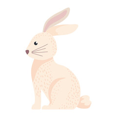 Poster - cute little rabbit rodent icon vector illustration design