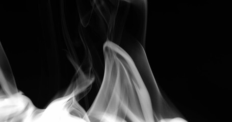 Wall Mural - White smoke floating through space against black background	
