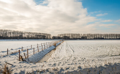 Wall Mural - Dutch winter landscape with ditch and fences. The water in the ditch is partially frozen. The photo was taken in the Dutch province of North Brabant near the small village of Drimmelen.