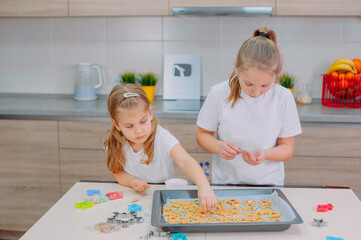 Wall Mural - Two sisters are making homemade cookies in the kitchen.