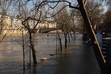 River Flod In Paris