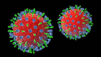 Poster - Hendra virus infection