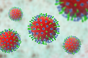 Poster - Hendra virus infection