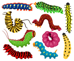 Canvas Print - Cartoon caterpillars. Cute summer insects, spring colorful caterpillar. Pretty caterpillar mascots isolated vector illustration set. Caterpillar wildlife mascot, small maggot move