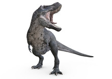 T-Rex, Tyrannosaurus Rex, Head To The Right, 3D-Rendering
