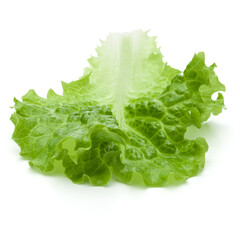 Wall Mural - fresh green lettuce salad leaves isolated on white background