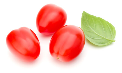 Wall Mural - fresh plum tomato with basil leaf isolated on white background