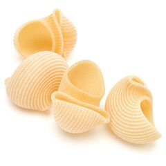 Italian lumaconi isolated on white background. Lumache, snailshell shaped pasta.