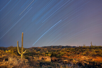 star trails and saguaro desert landscape
