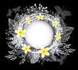 Beautiful round floral frame. Frangipani flowers Vector illustration