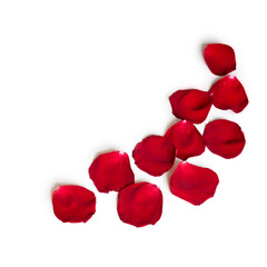 Wall Mural - Red petals of rose flower isolated on white background