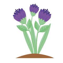 Sticker - beauty purple flowers and leafs spring season plant vector illustration design