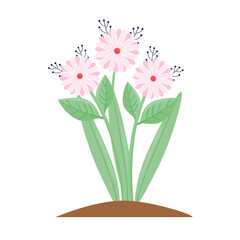 Sticker - beauty pink flowers and leafs spring season plant vector illustration design