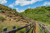 Fototapeta  - Pathway with wooden fence between hills in Furnas de Enxofre, Terceira - Azores PORTUGAL