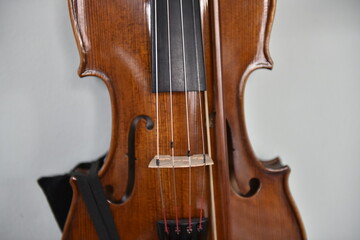 Close-up of Violin Body