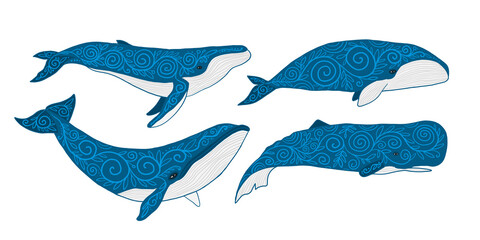 Sticker - Wild Whale Set with Ethnic Ornaments