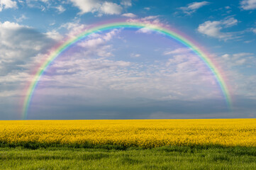 Wall Mural - landscape with rape fields and rainbow