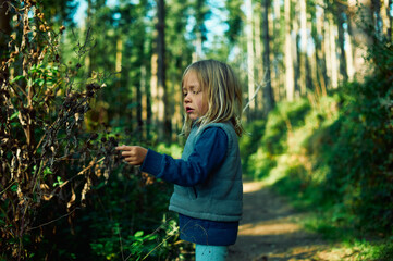 Preschooler walking in the woods on a sunny autumn day