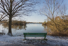 The Bench At Attenborough Nature Reserve