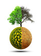 Lush and dry planet with tree isolated on a white background. Concept of change climate or global warming.