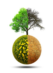 Wall Mural - Lush and dry planet with tree isolated on a white background. Concept of change climate or global warming.