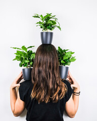 Sticker - Vertical shot of a female holding various species of potted plants