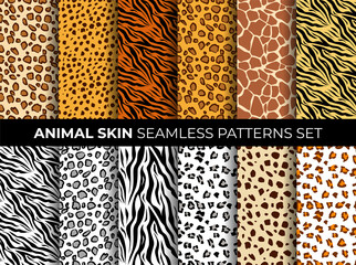 Animal seamless pattern set. Mammals Fur. Collection of print skins. Predators. Cheetah, Giraffe, Tiger, Zebra, Leopard, dalmatian, cattle, Jaguar. Printable Background. Vector illustration.