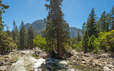 Fototapeta Krajobraz - Fluss im Yosemite Nationalpark