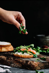 Wall Mural - Sandwich with salmon, spinach, cream cheese, cucumber on a round toast