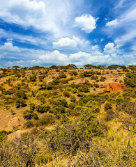 Wall Mural - African landscape