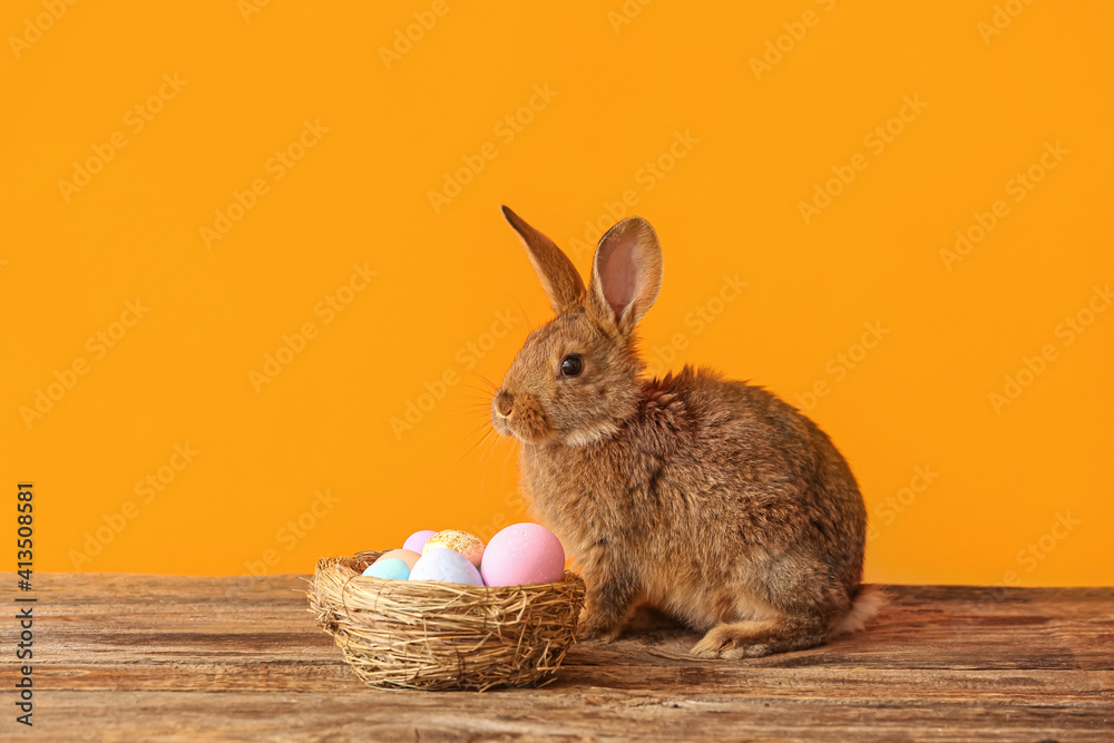 Cute rabbit and nest with Easter eggs on color background