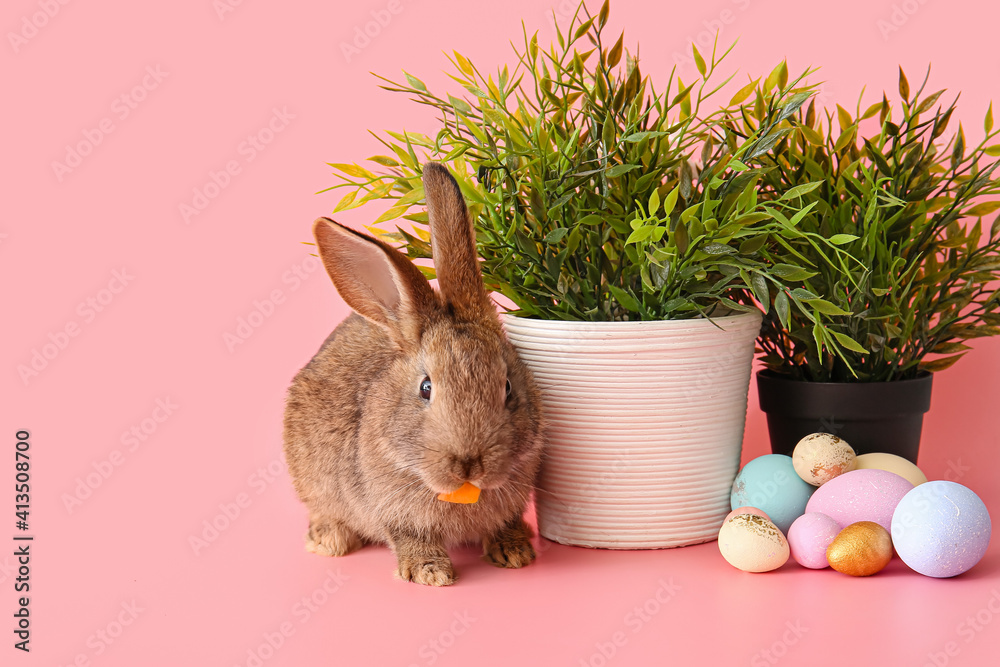 Cute rabbit, houseplants and Easter eggs on color background