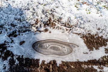 flaque d'eau sur un sol gelé