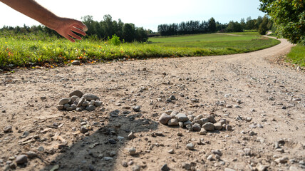 Poster - View to the gravel road.