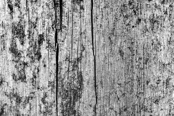 Wooden texture with scratches and cracks. It can be used as a background