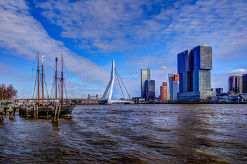 Wall Mural - Erasmus Bridge and surrounding waterfront in Rotterdam 