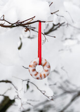 Homemade Peanut Donut Suet Cake Hanging In The Snowy Garden. Feeding The Birds In Winter. Copy Space.