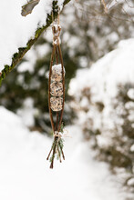Homemade Suet Balls For Winter Bird Feeding Hanging In The Snowy Garden. Selective Focus. Copy Space.