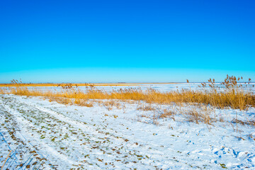 Snowy edge of a white frozen lake in wetland under a blue bright sky in winter, Almere, Flevoland, The Netherlands, February 13, 2020