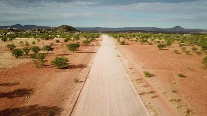 Wall Mural - Desert road in Namibia taken in 2018