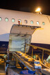 © Cavan Images - Packages being loaded in cargo airplane during night