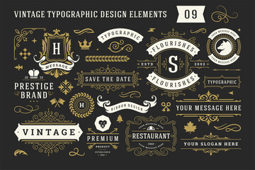 Vintage typographic decorative ornament design elements set vector illustration