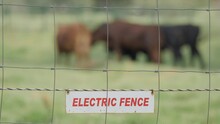 Electric Fence Sign On A Cattle Ranch
