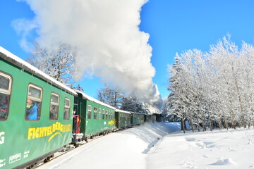 Wall Mural - Winter