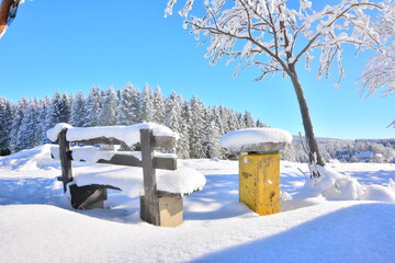 Canvas Print - Winter