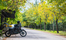 Touring Motorcycle On Tree Lined Road, Mendoza, Argentina