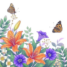 Hand Drawn Garden Flowers And Butterflies