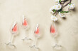 Rose wine in glasses and blossom sakura branch artificial. Beige concrete background. Top view, flat lay. Spring holidays concept